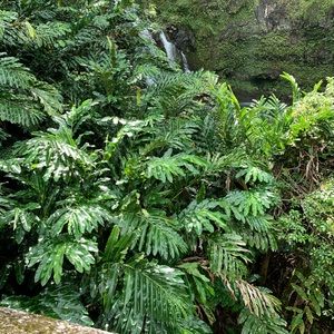 Meet your Posher, Margot